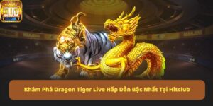 Dragon Tiger Live